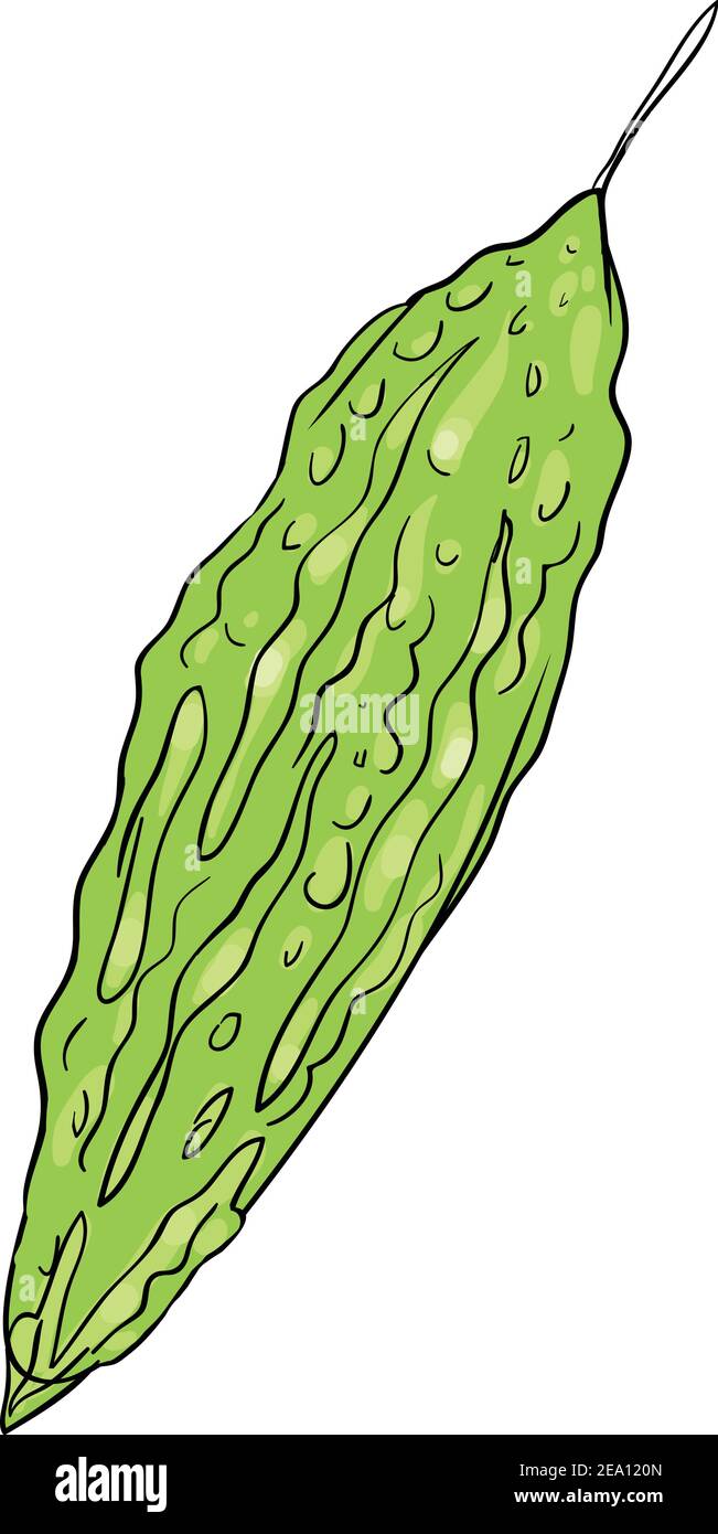 Bitter gourd background Stock Vector Images - Alamy