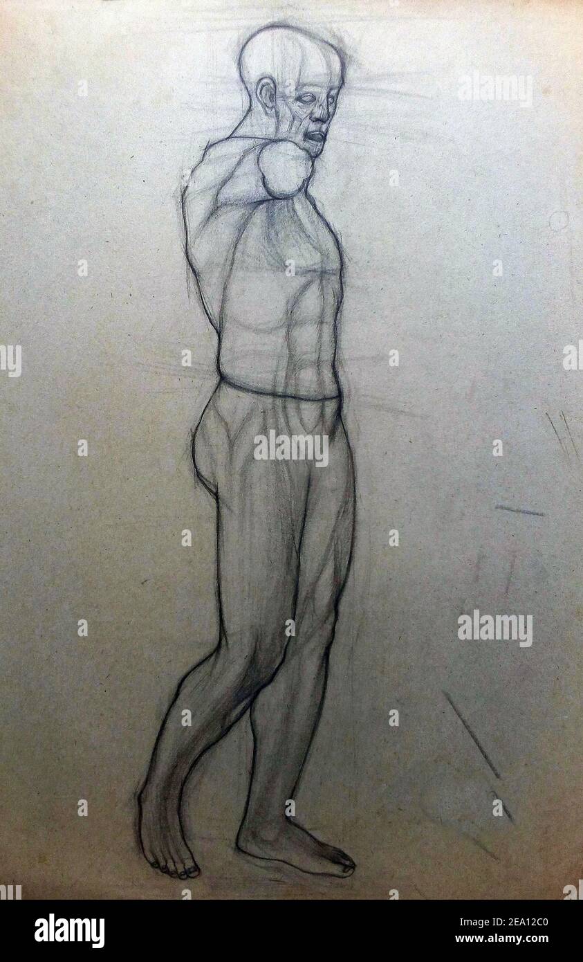 anatomy , Art ,drawing ,Fine art ,Light and shadow, bust Stock Photo