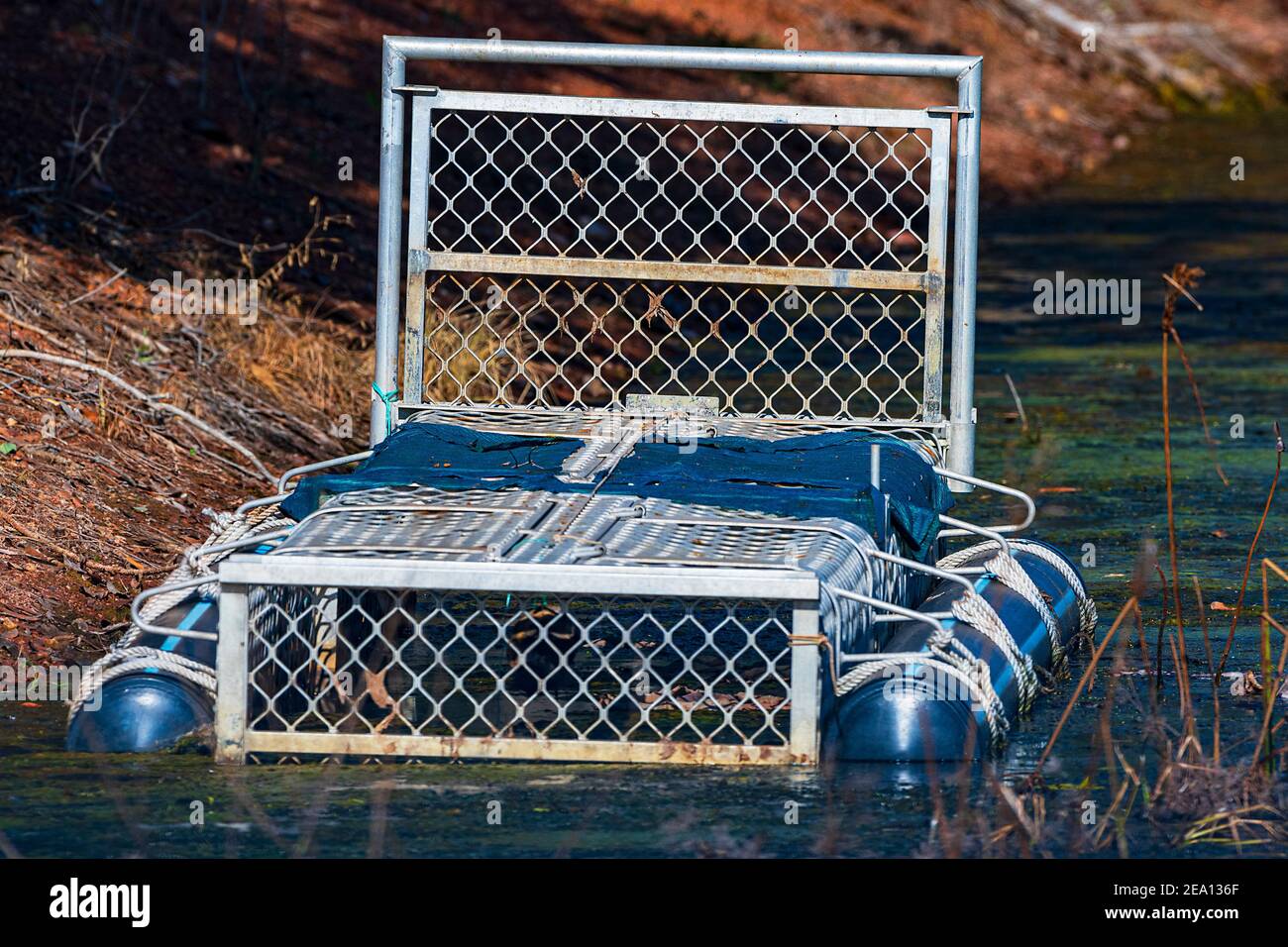 Humane Crocodile trap at Fogg Dam, near Darwin, Northern Territory, NT, Australia Stock Photo