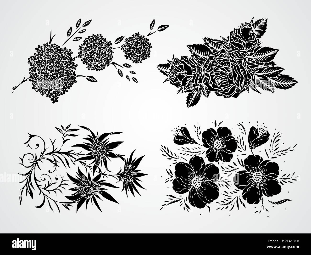 Vector set of black silhouettes hand drawn flowers, branches and leaves ...