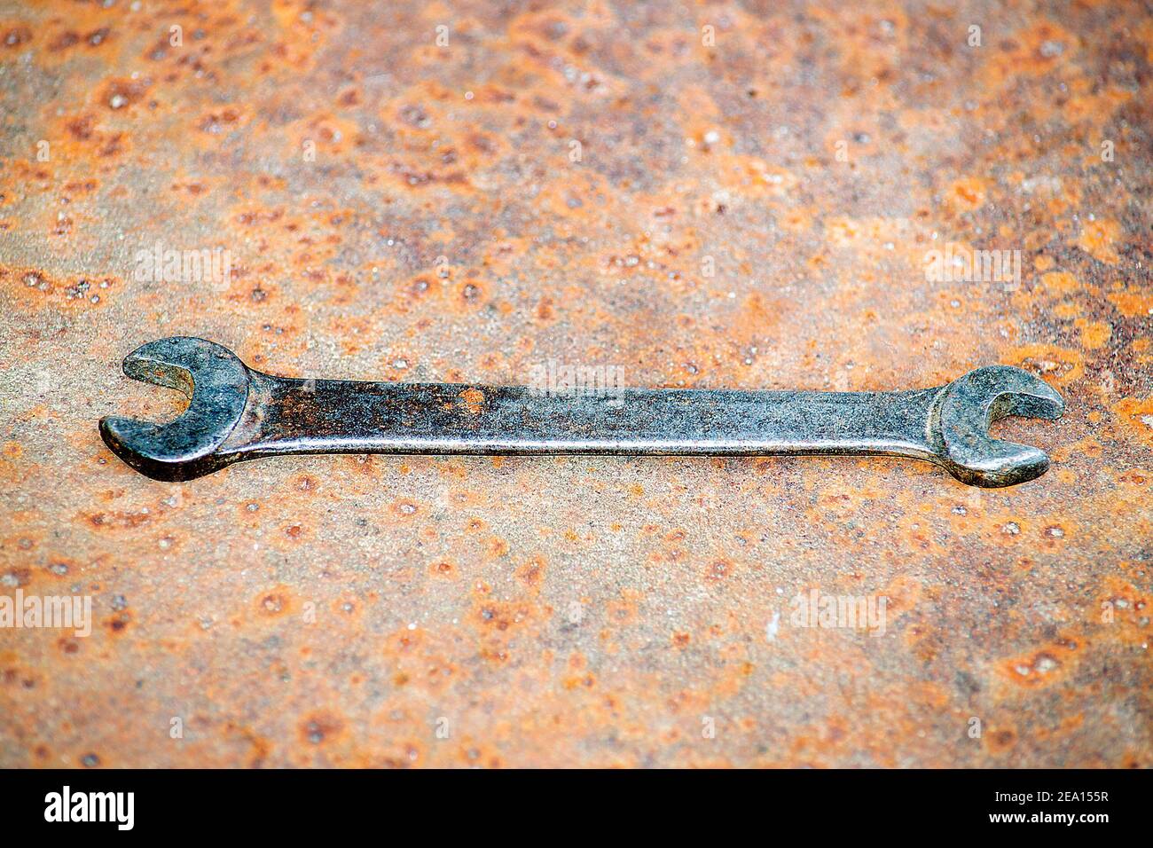 Subject shot. Front and top view. Stock Photo
