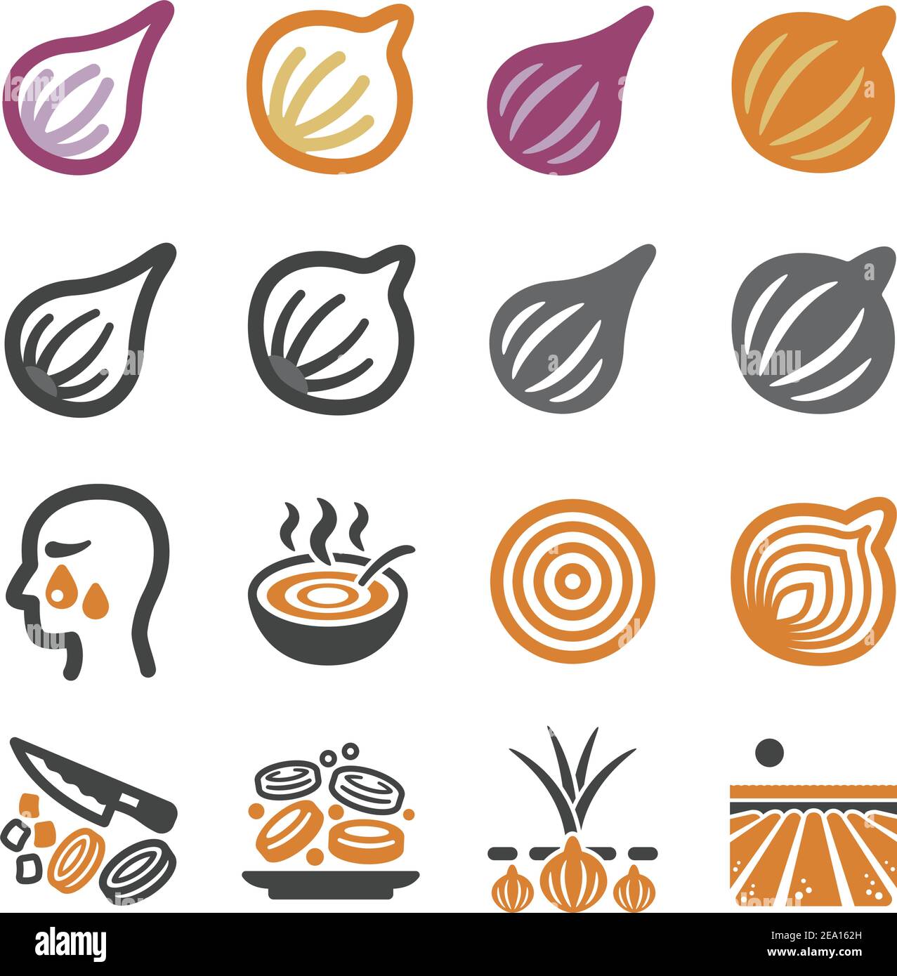 onion,shallot icon set,vector and illustration Stock Vector