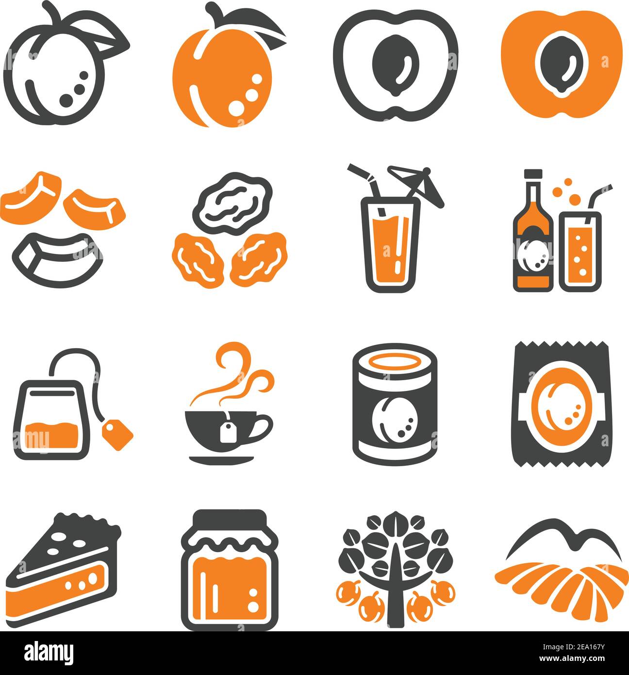 apricot icon set,vector and illustration Stock Vector