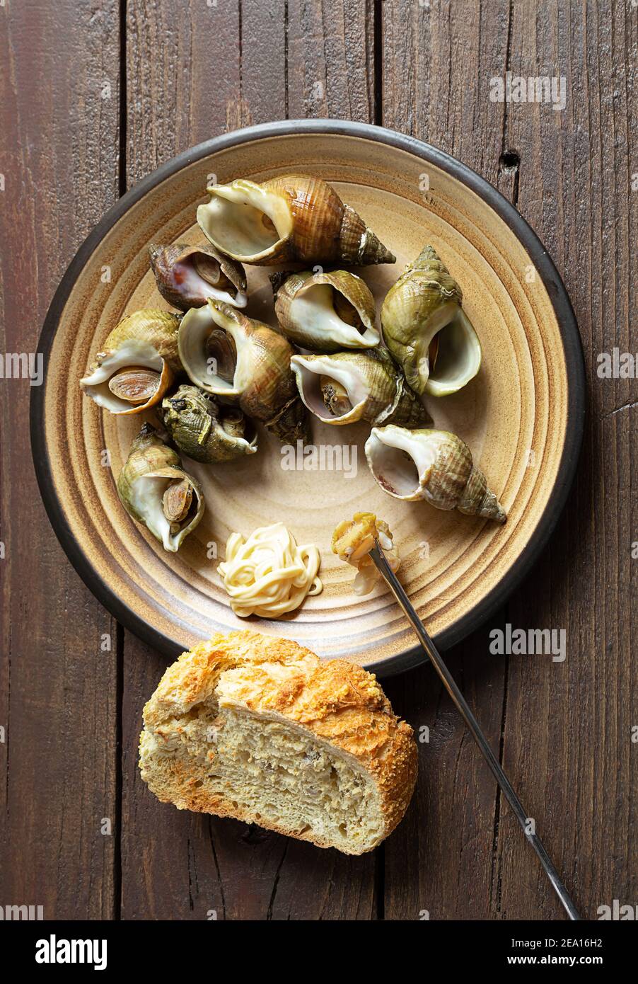 Fresh sea snails bulot or common whelks prepared according to a traditional French recipe in a plate and a piece of bread on a dark wooden table, top Stock Photo
