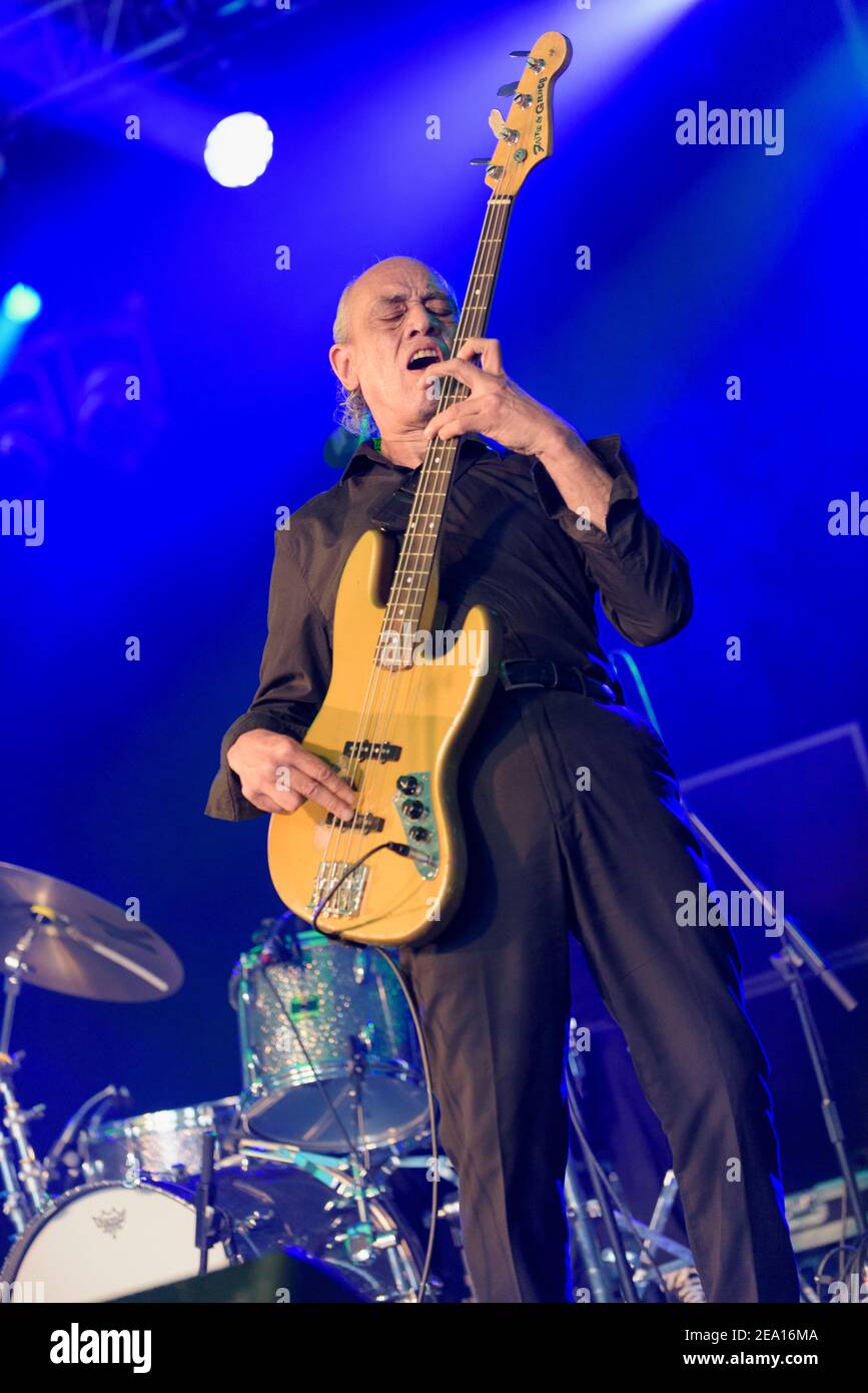 Norman WattRoy playing bass guitar at the Cornbury Music Festival