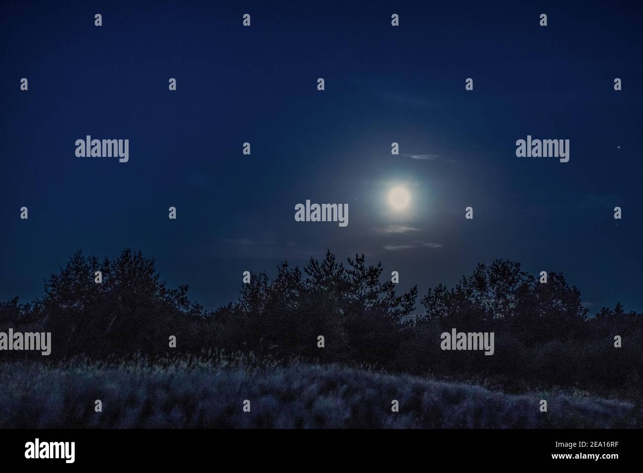 A full moon shining over a rural heather landscape at night at Doeberitzer Heide Stock Photo