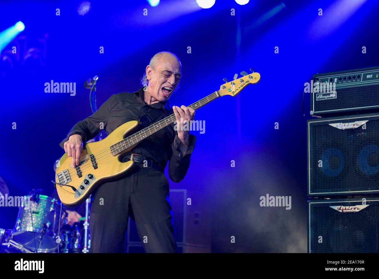 Norman WattRoy playing bass guitar at the Cornbury Music Festival