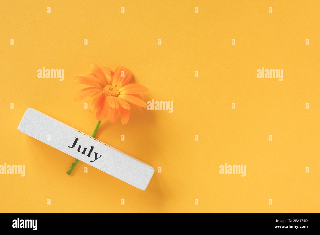 One orange calendula flower and calendar summer month July on yellow background. Top view Copy space Flat lay Minimal style. Concept Hello July Templa Stock Photo