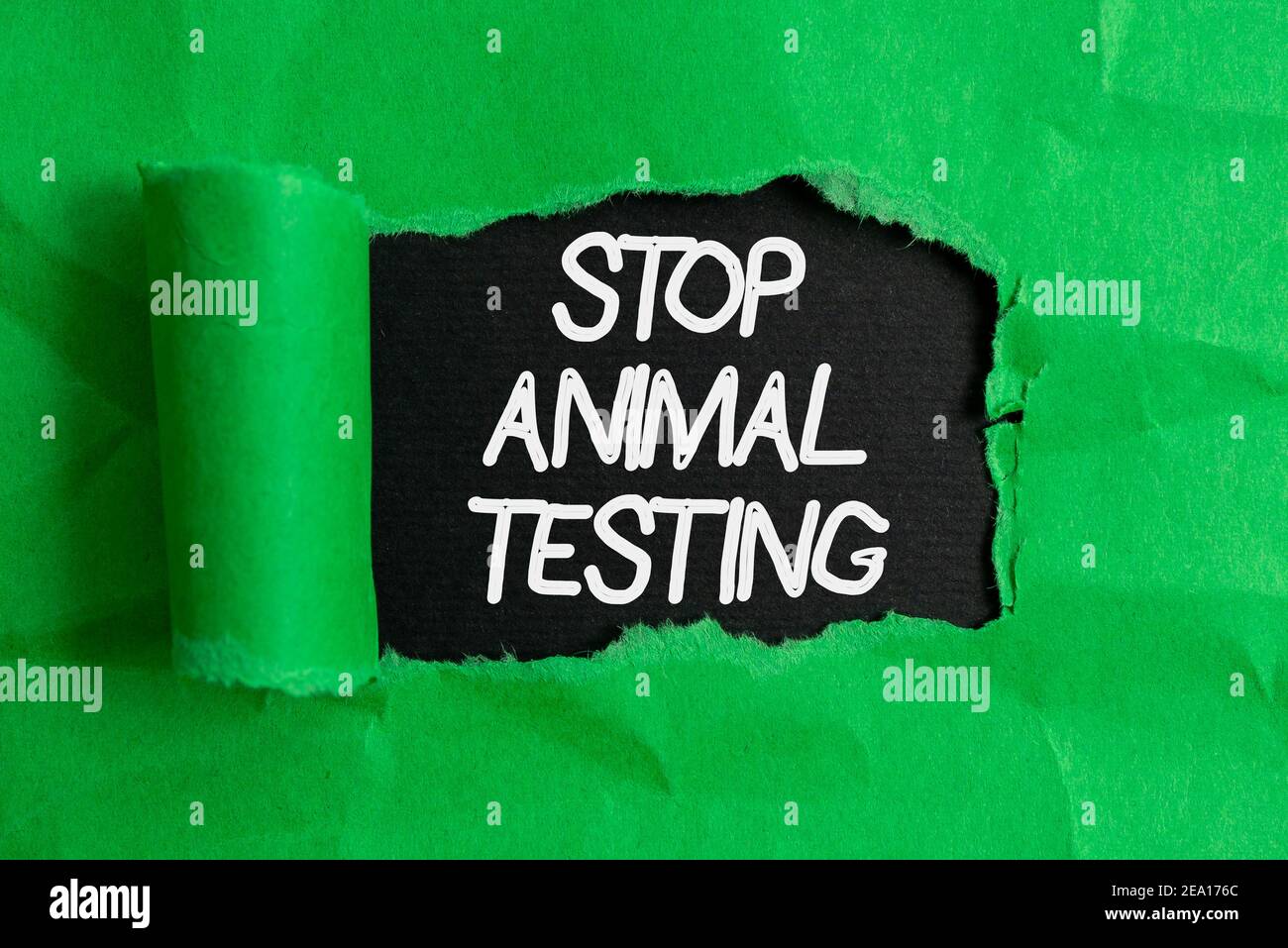 Handwriting text writing Stop Animal Testing. Conceptual photo put an end on animal experimentation or research Rolled ripped torn cardboard placed ab Stock Photo