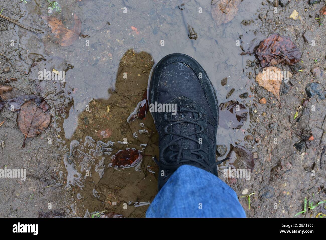 Water splash from shoes. Men's feet in hiking shoes steps into a puddle. Rain footwear for man or woman. Trekker boots for for cold and weather hike. Stock Photo