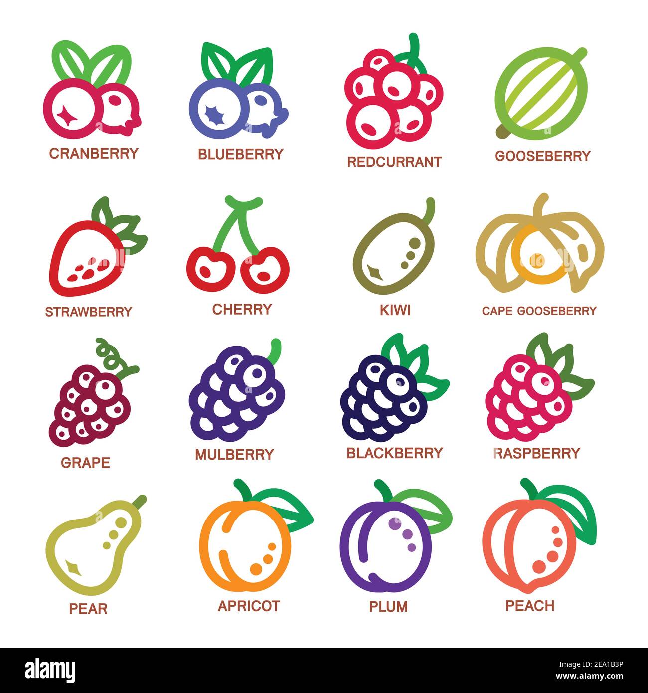fruit thin line icon set,vector illustration Stock Vector