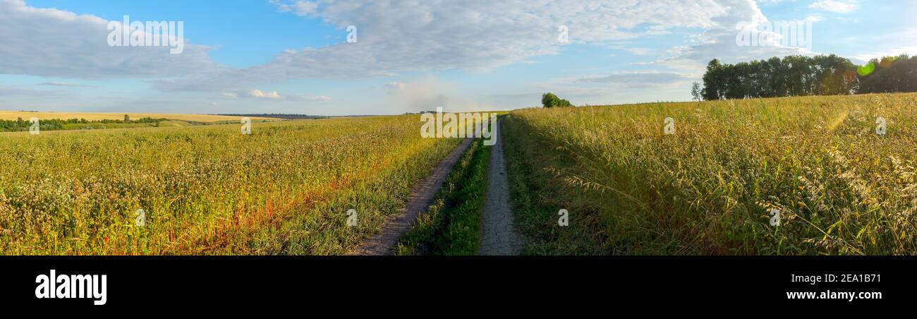 Summer sunset panoramic landscape with rural road and farm fields Stock ...
