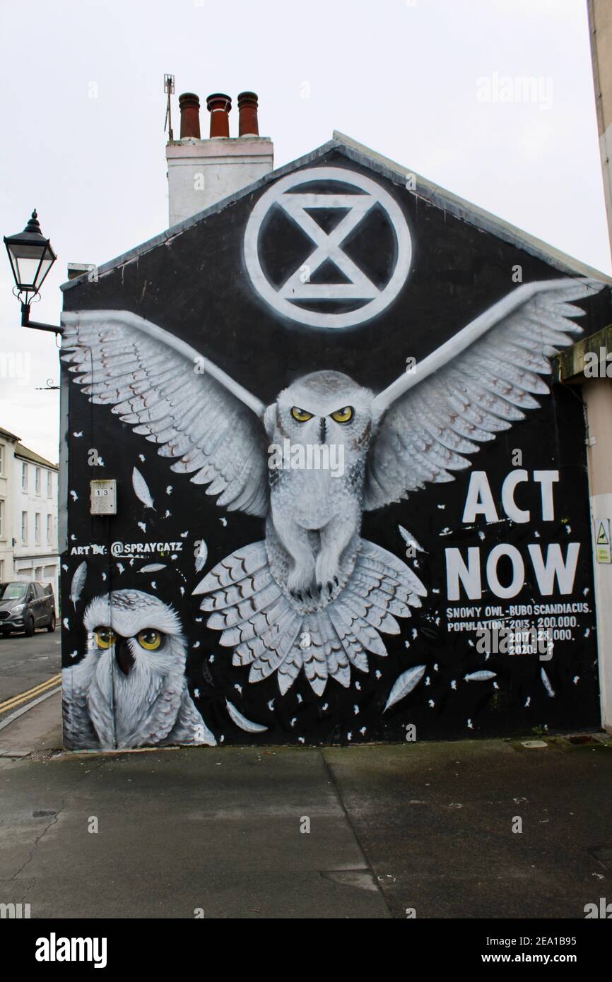 Extinction rebellion wall art in Brighton, England featuring a white Snowy Owl on a black background. Photograph taken on a lockdown Saturday. Stock Photo