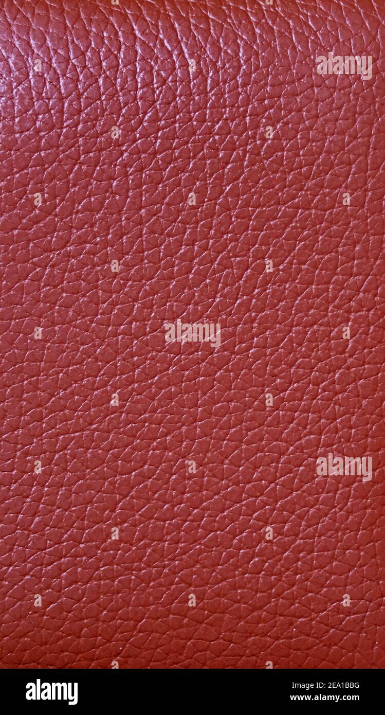 Crimson red colored cow leather surface for abstract background Stock Photo