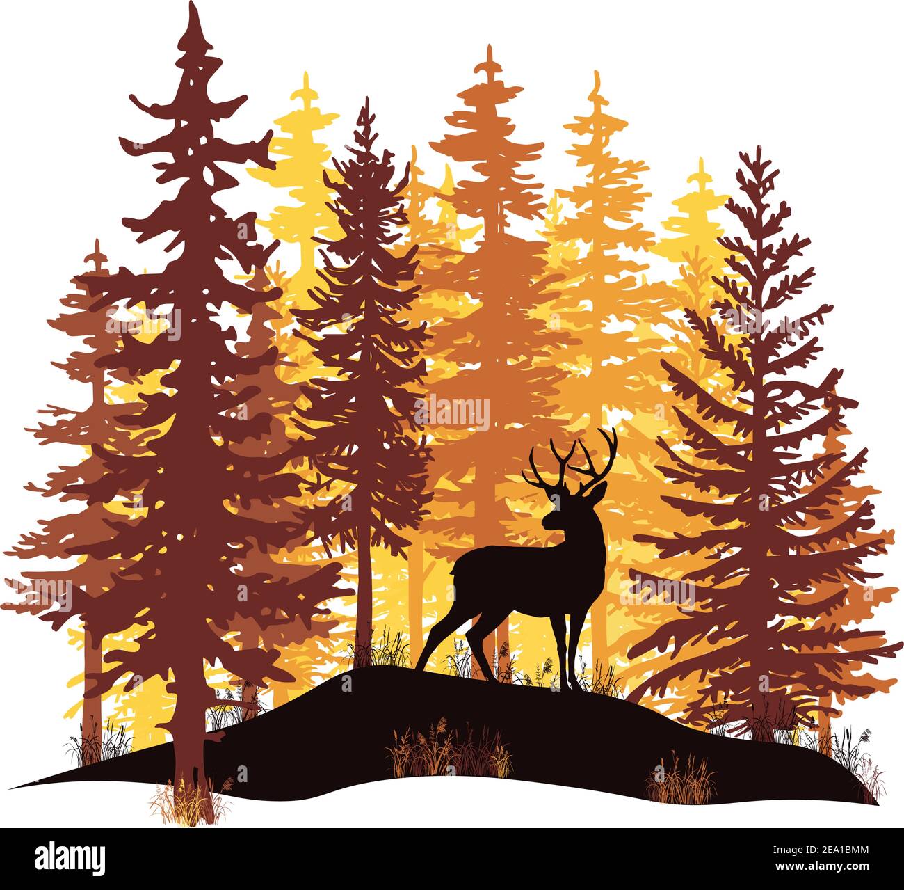 Orange and yellow sunset in coniferous forest. Deer with antlers posing on the hill covered with grass. Stock Vector