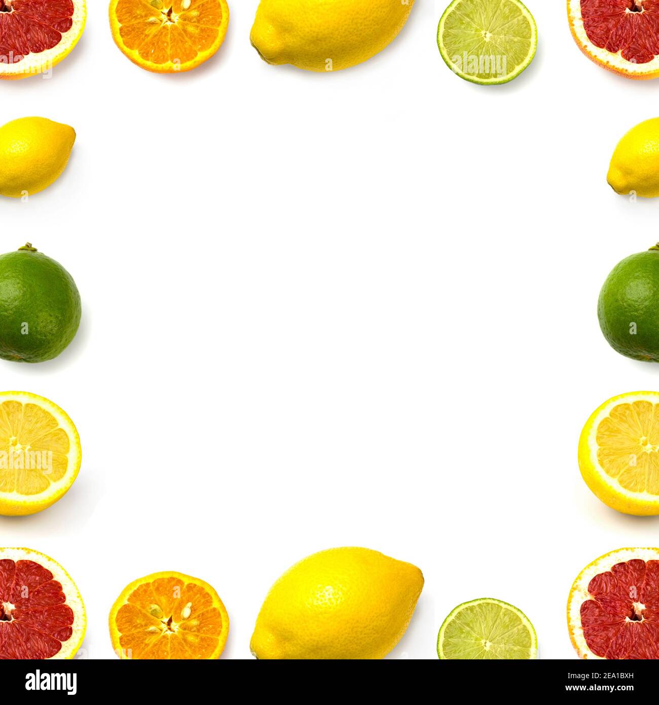 grapefruit, lime, lemon and mandarin on white background Stock Photo