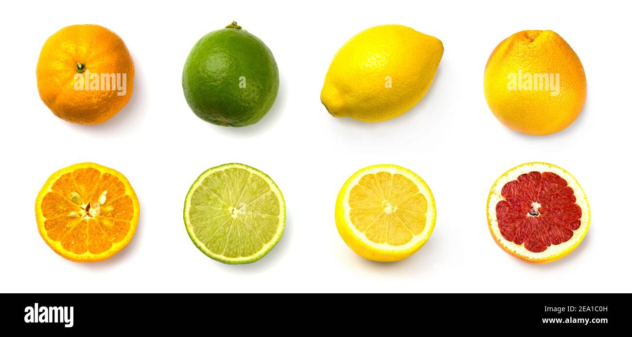 set grapefruit, lime, lemon and tangerine on white background Stock Photo