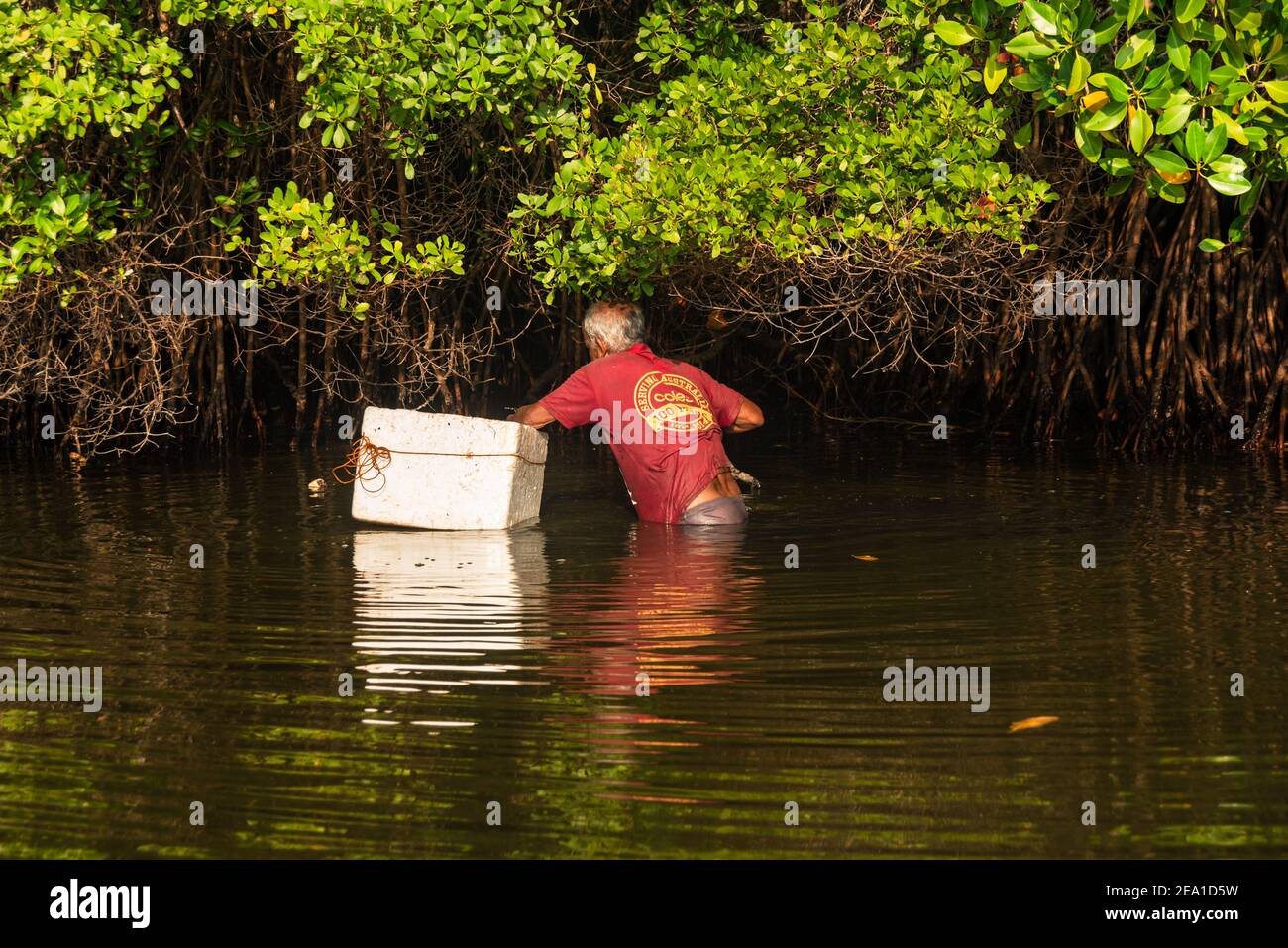 Sinhalese man standing in waist deep water fishing with a box Stock Photo