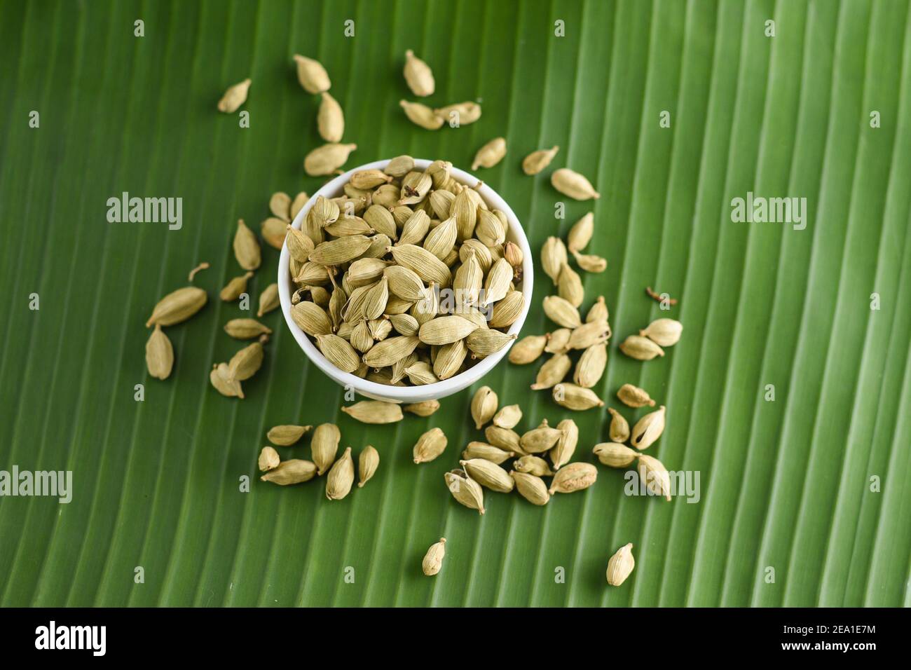 Indian spices. Indian spicy curry masala for making curry in India