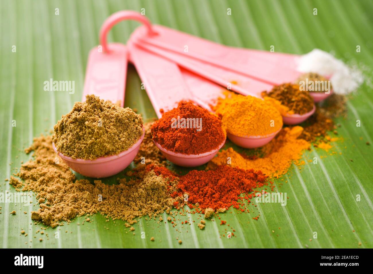 Indian spices powder in spoon, banana leaf background. Organic Indian spicy curry masala for