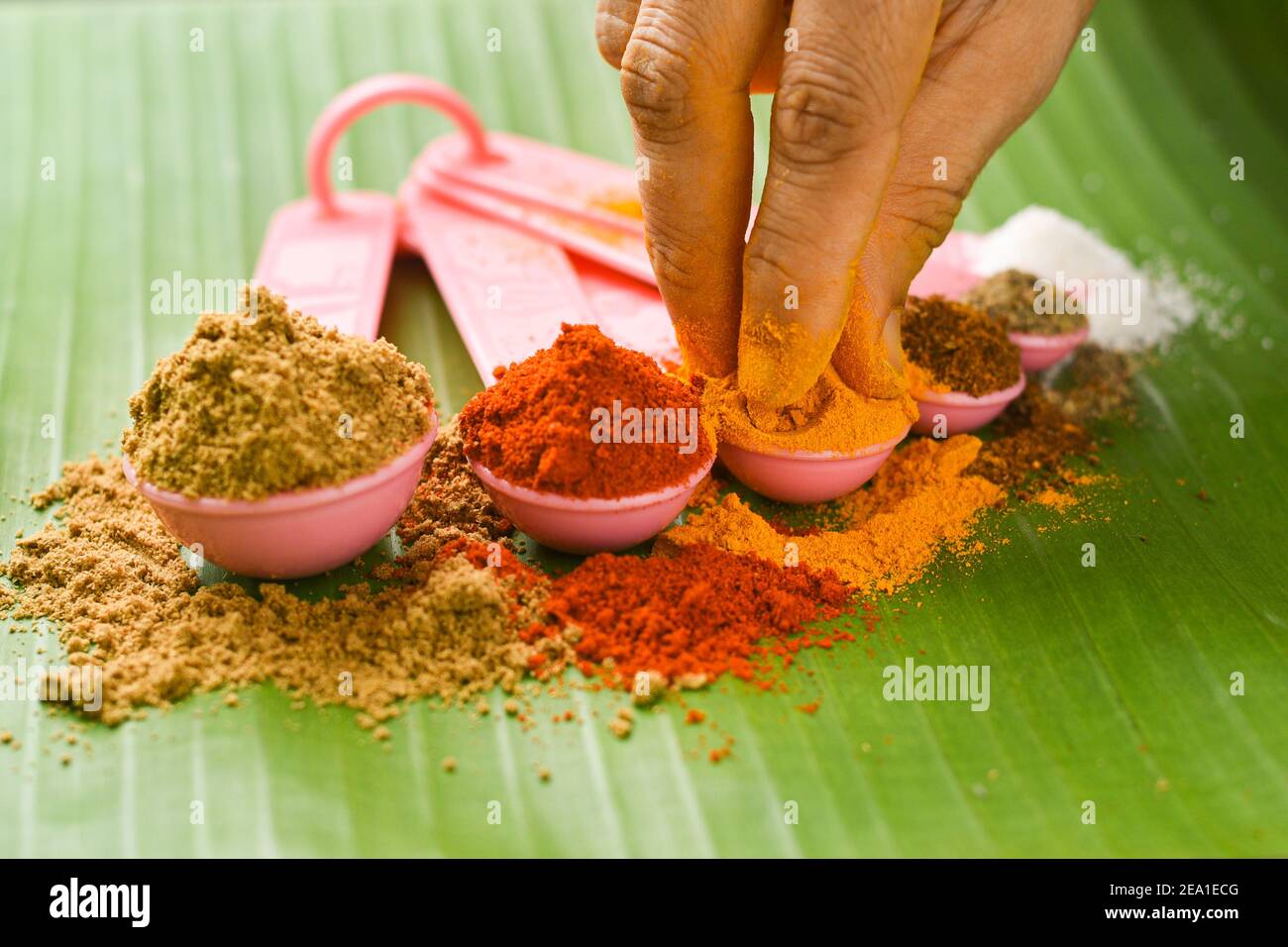 Indian spices powder in spoon, banana leaf background. Organic Indian