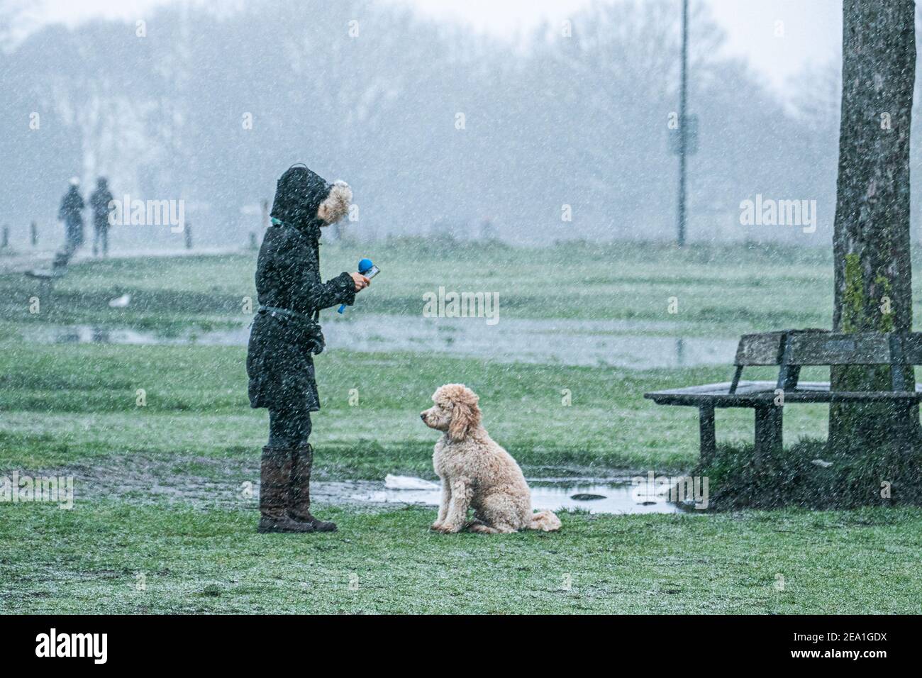 Wimbledon London Uk 7 February 21 A Woman Takes Her Dog Outside During A Snow Shower On Wimbledon Common As Storm Darcy Hits The Uk This Morning With Freezing Temperatures The Met Wimbledon London Uk 7 February 21 A Woman Takes Her Dog Outside During A Snow Shower On Wimbledon Common As Storm Darcy Hits The Uk This Morning With Freezing Temperatures The Met