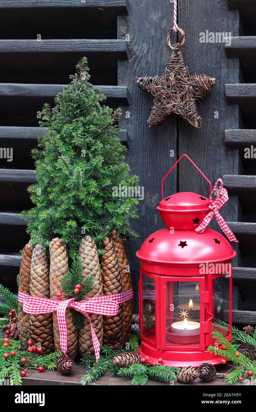 christmas decoration with red lantern and picea glauca Stock Photo