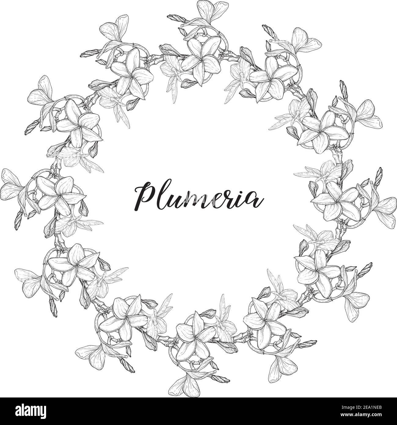 Plumeria. Hawaii, Bali, Indonesia, Sri Lanka Tropical Flower Necklaces. Vector illustration Stock Vector