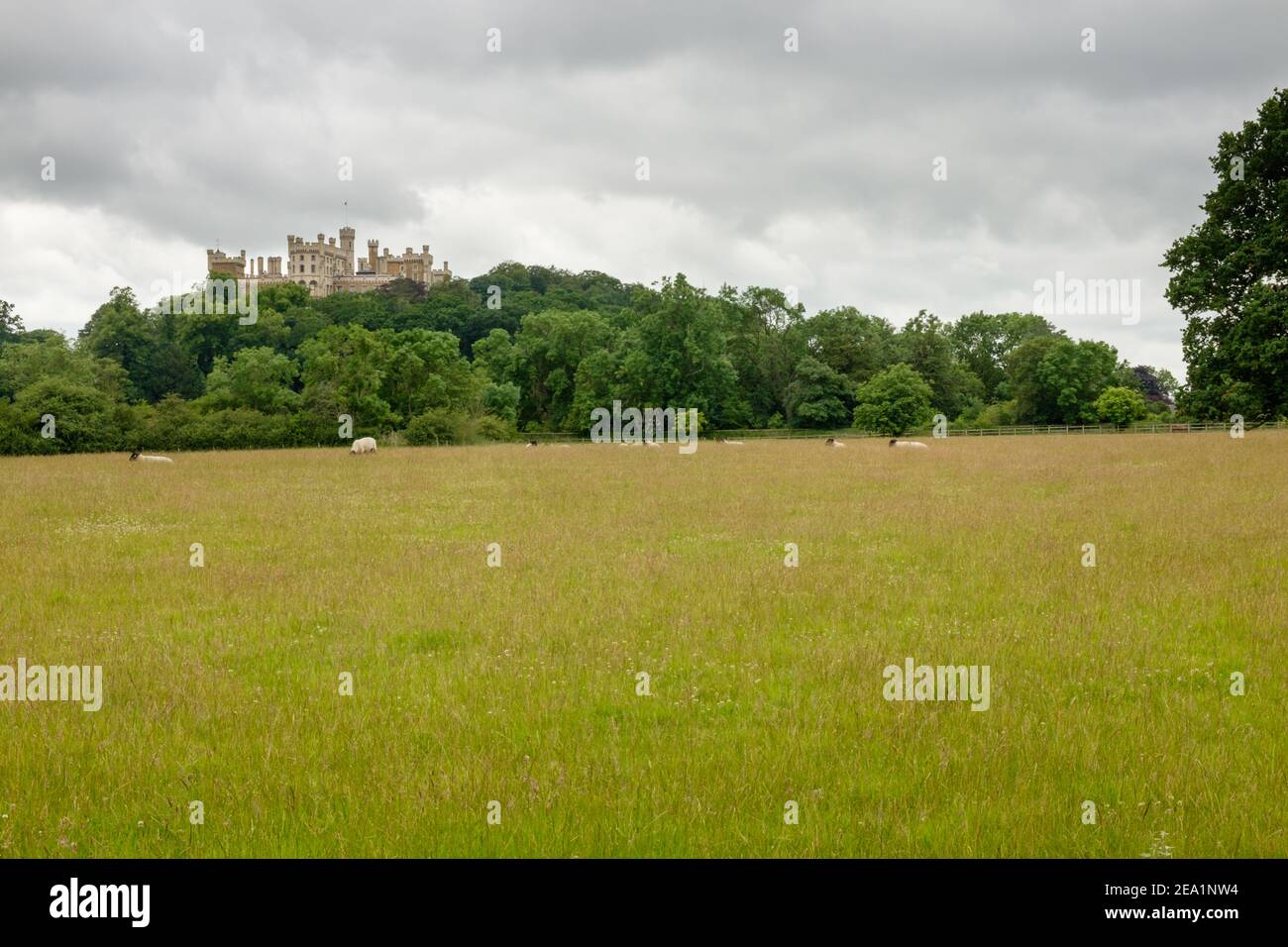 View across farmland of Belvoir castle, home to the Duke and Duchess of Rutland England UK Stock Photo