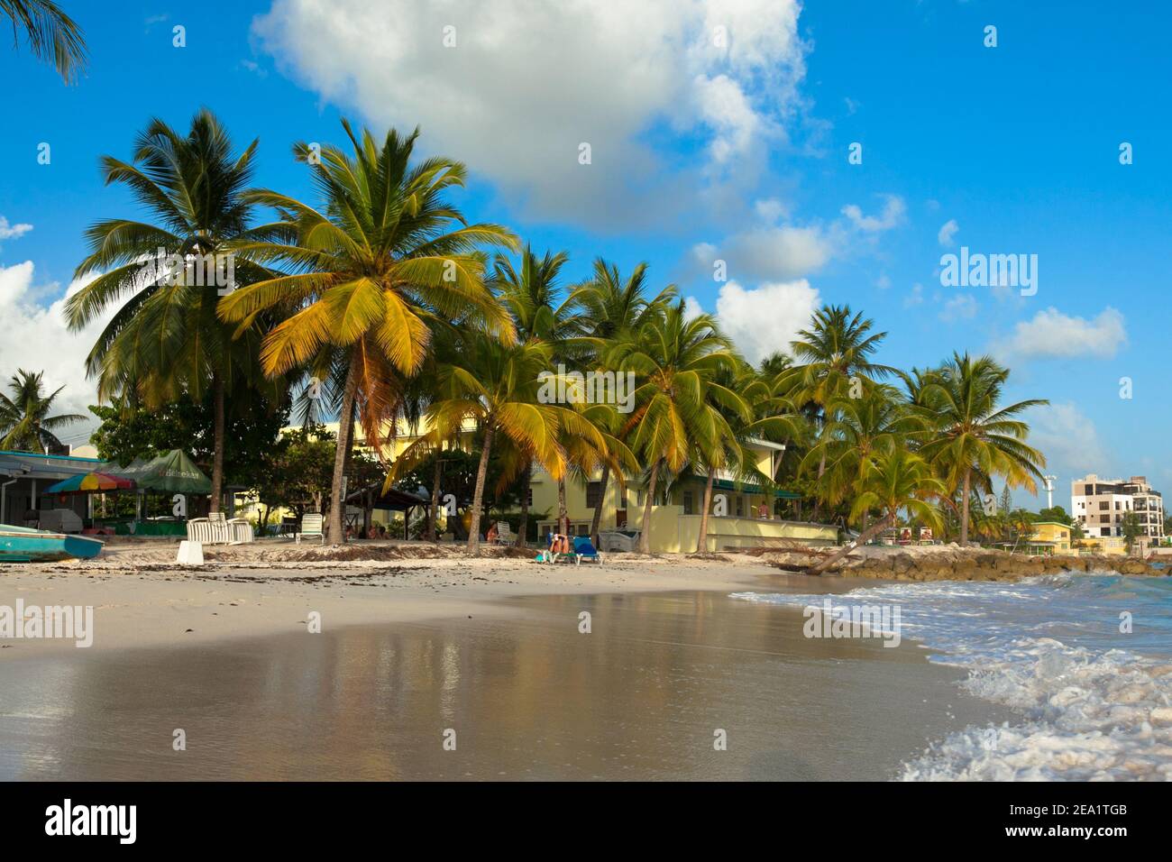 SOUTH COAST, BARBADOS – MARCH 04, 2011: Worthing beach. Beach with palm trees on ocean Stock Photo