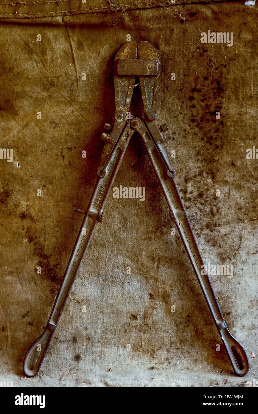 Bold cutter, Old tool, France Stock Photo Alamy