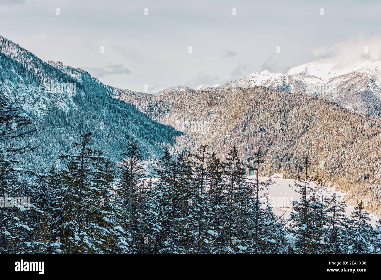 snowy mountains and trees in the alps. View of the lake Eibsee. Germany ...