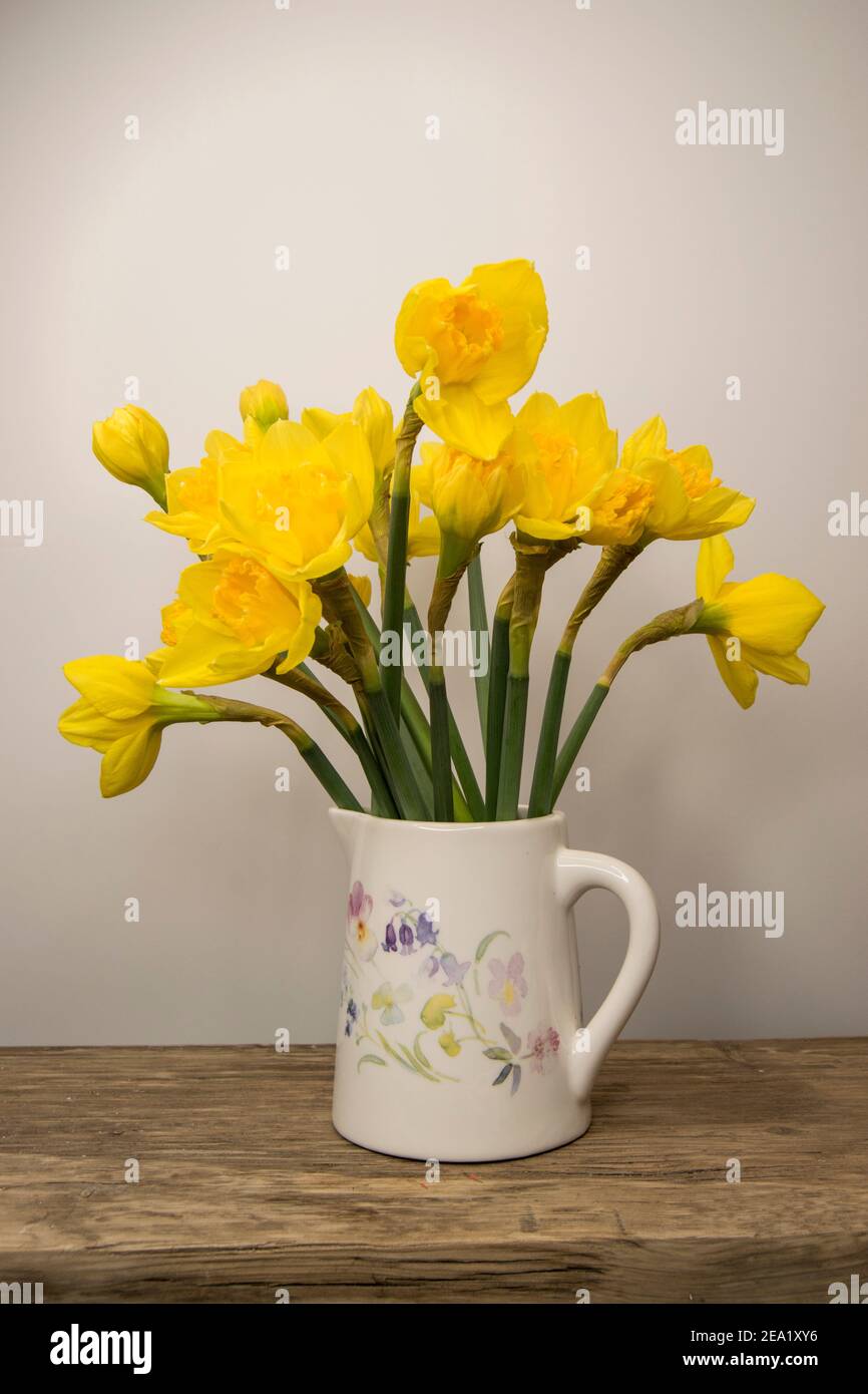 Bunch of daffodils in a jug Stock Photo Alamy