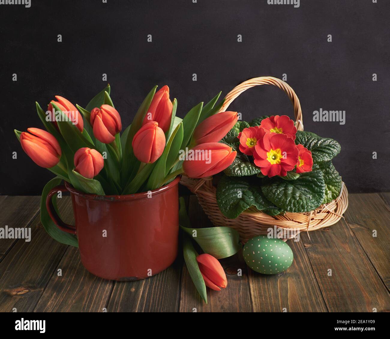 Basket with red primrose pot flowers and orange tulips in rustic metal jar on dark rustic wood. Painted chick and quail eggs. Zero waste natural Stock Photo