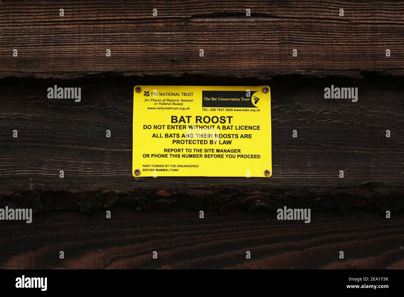 National trust Bat roost warning sign. Stock Photo
