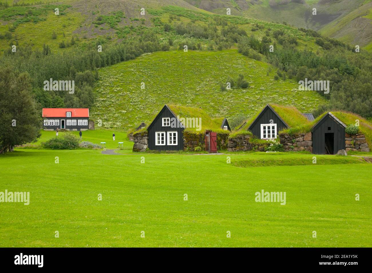 local houses with grass roofs. Iceland Stock Photo