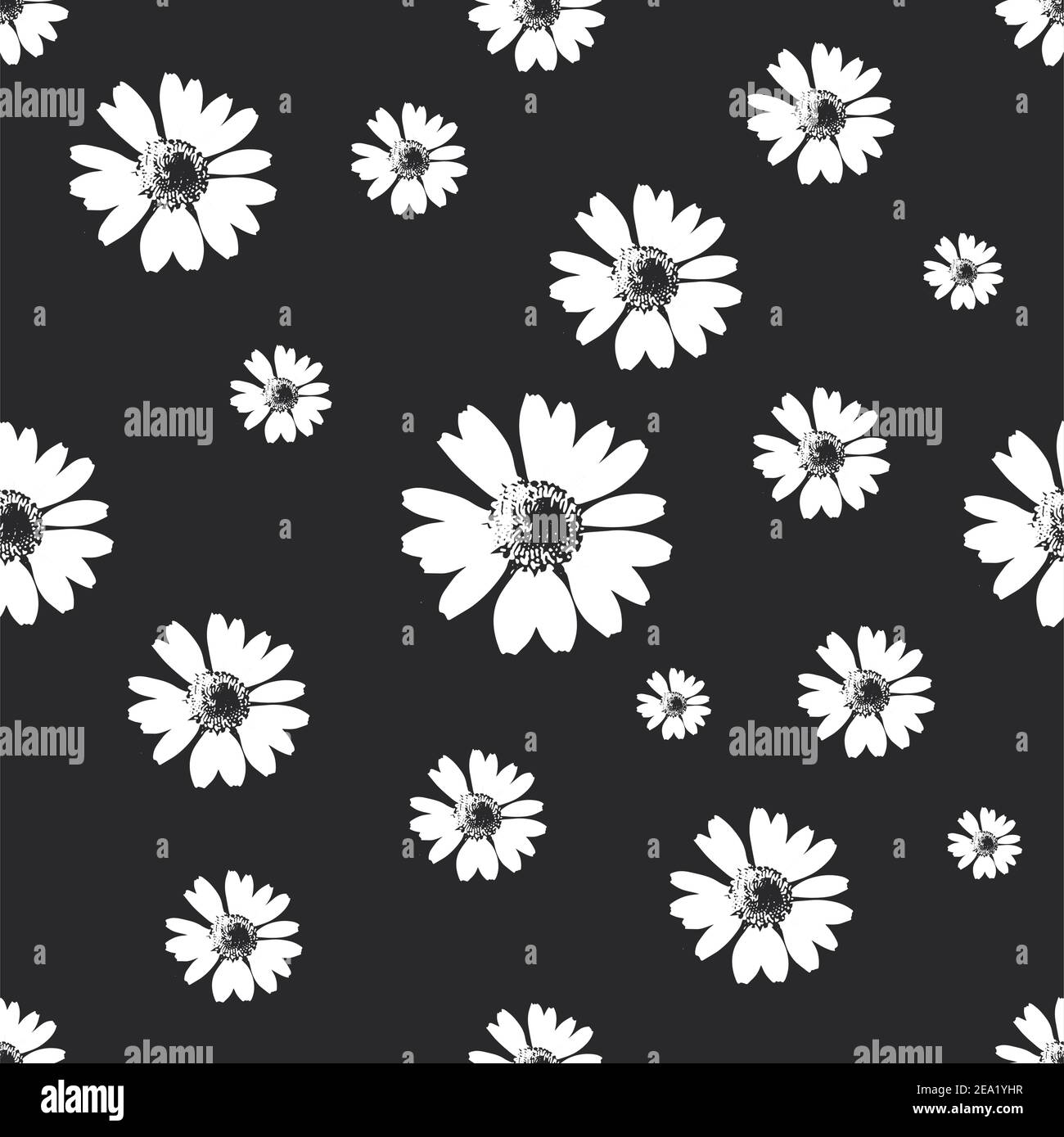 Daisies texture Black and White Stock Photos & Images - Alamy