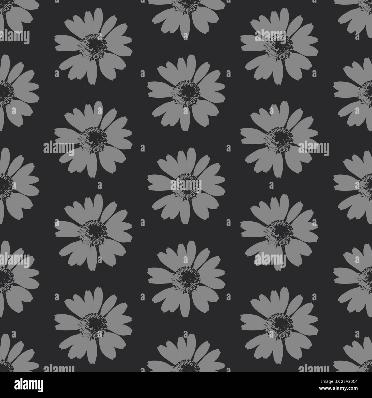 monochrome pattern white daisies on a black background Stock Vector