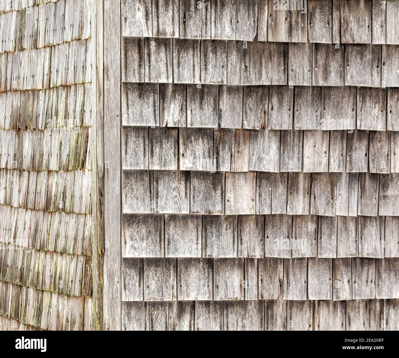 Wood clad wall hi-res stock photography and images - Alamy