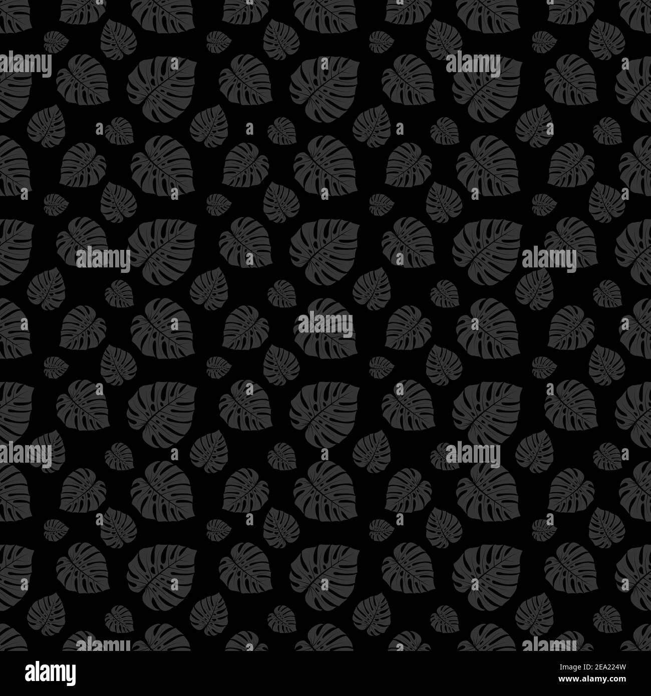 Monochrome exotic monstera leaf pattern on black background Stock Vector