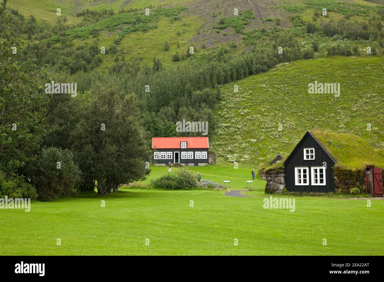 Traditional Icelandic houses with grass on the roof and white windows against the background of green grass in the Museum of the village of Skogar. Ic Stock Photo