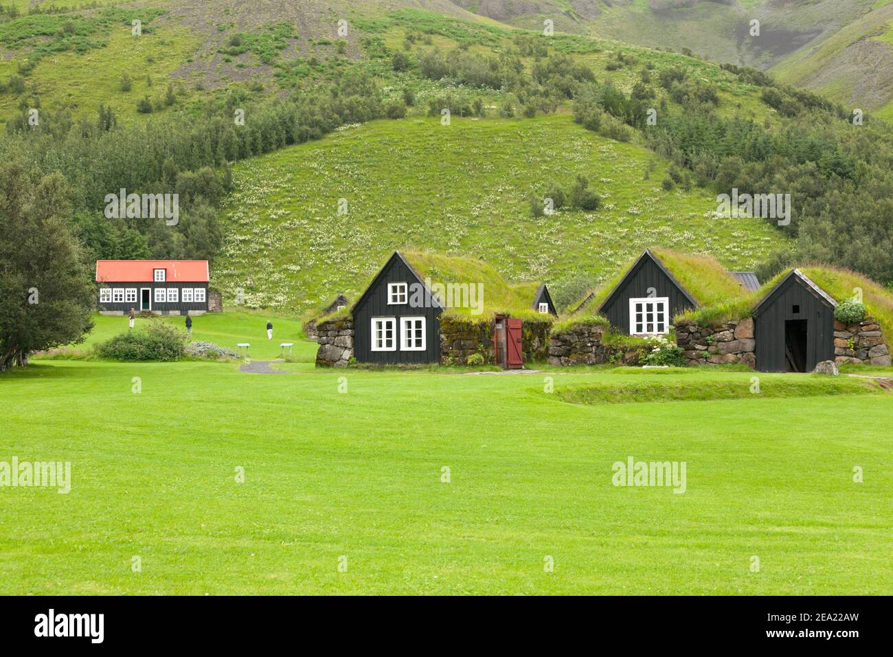 Traditional Icelandic houses with grass on the roof and white windows against the background of green grass in the Museum of the village of Skogar. Ic Stock Photo