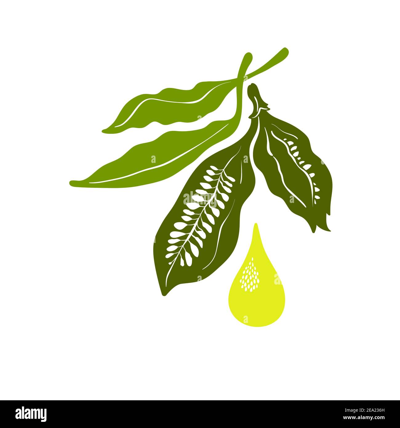 Sesame oil. Vector symbol. Healthy seed, organic food, natural organic drop  of butter, bio ingredient. Green plant on white background Stock Vector  Image & Art - Alamy