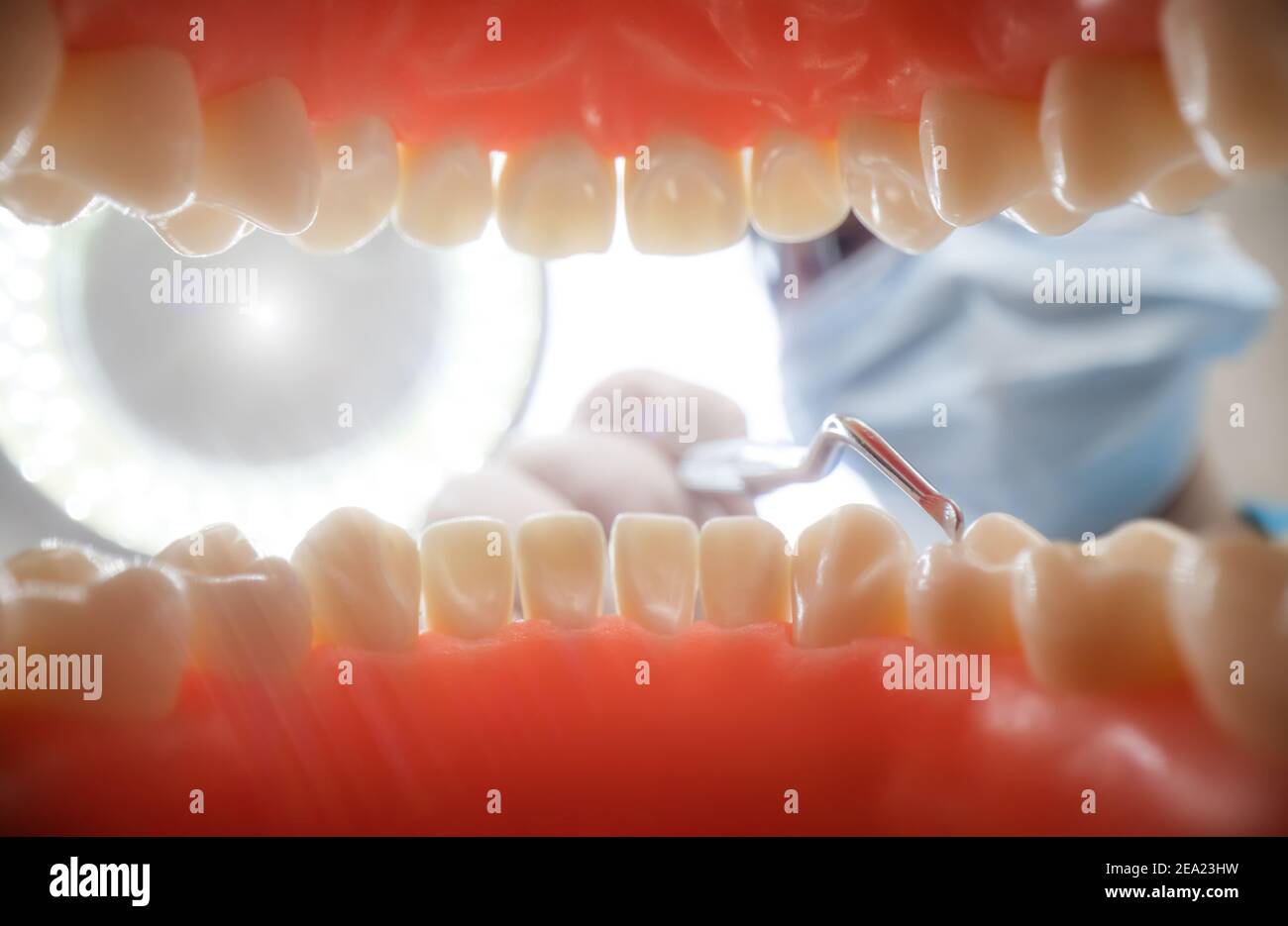 Patient at a dentist appointment in a dental clinic. View from inside the dental jaw. Stock Photo