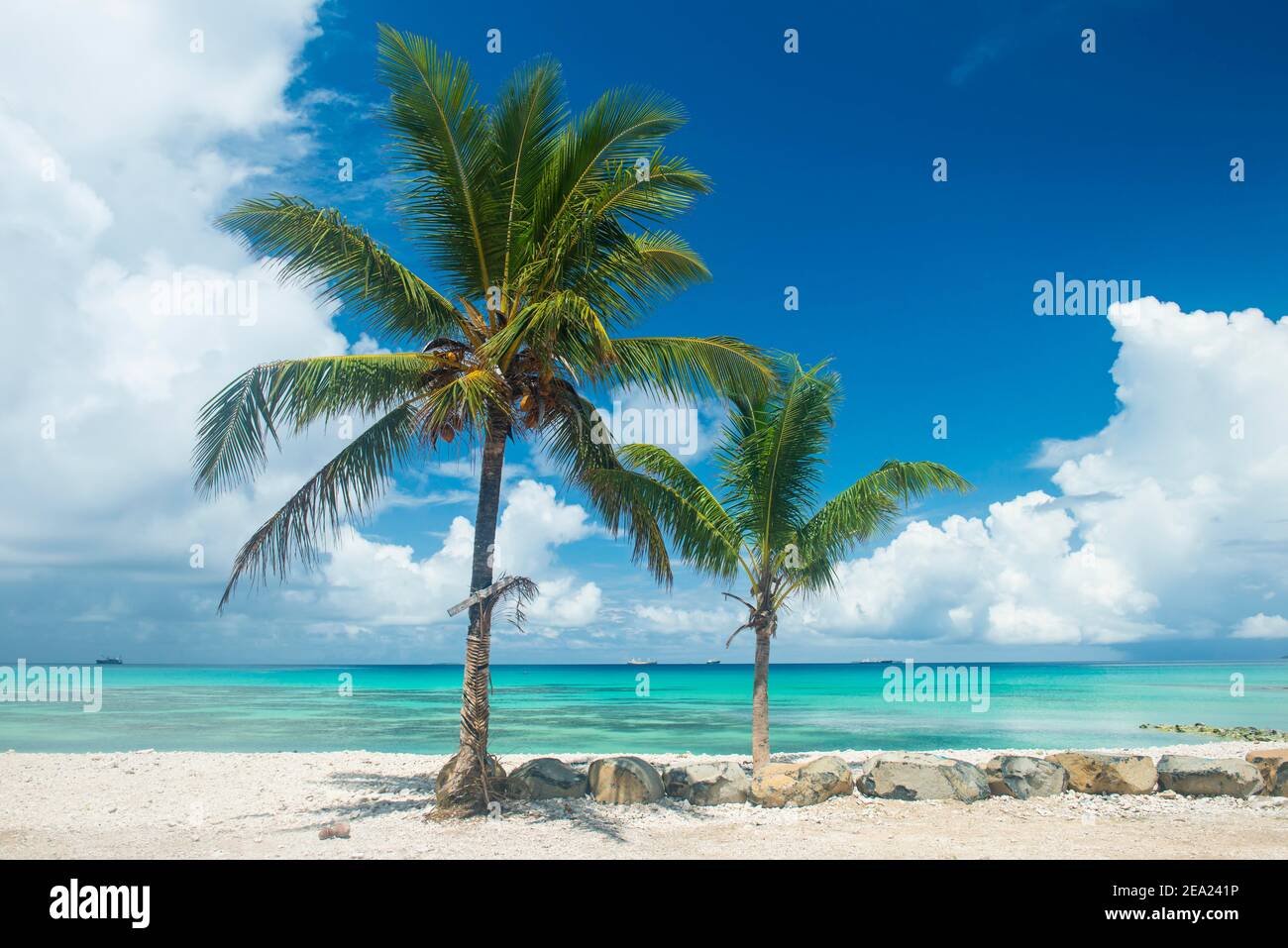 Palm trees in the beautiful lagoon of Funafuti, Tuvalu Stock Photo