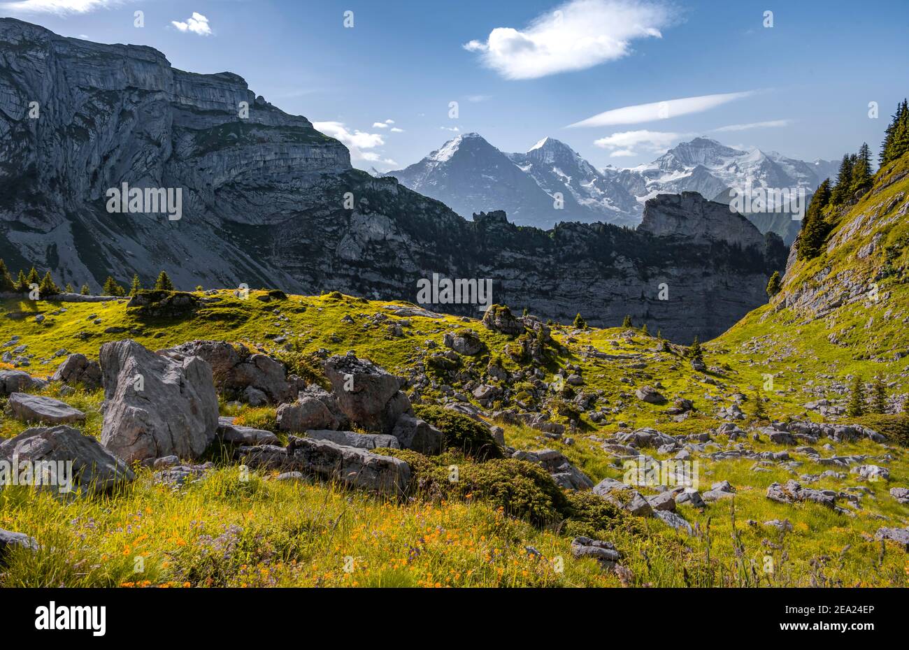 Alpine landscape, Eiger, Moench and Jungfrau, mountain peaks, Jungfrau ...