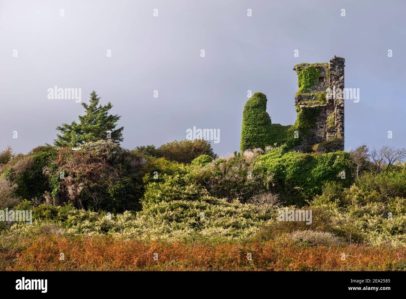 Kildonan castle on Arran Scotland Stock Photo Alamy