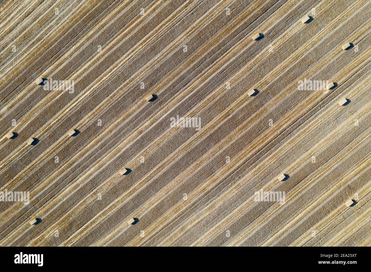 Bales of straw and abstract patterns in cornfield after wheat harvest ...