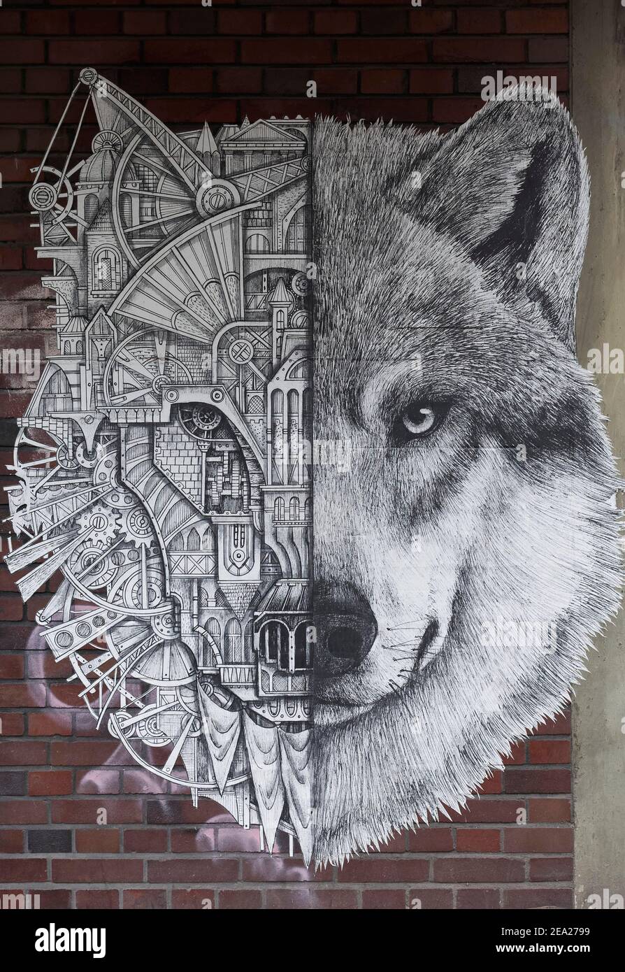 Paste up, wolf, head half animal, half machine, symbol for balance of nature and technology, mechanimal by streetart artist Ardif, Duesseldorf, North Stock Photo