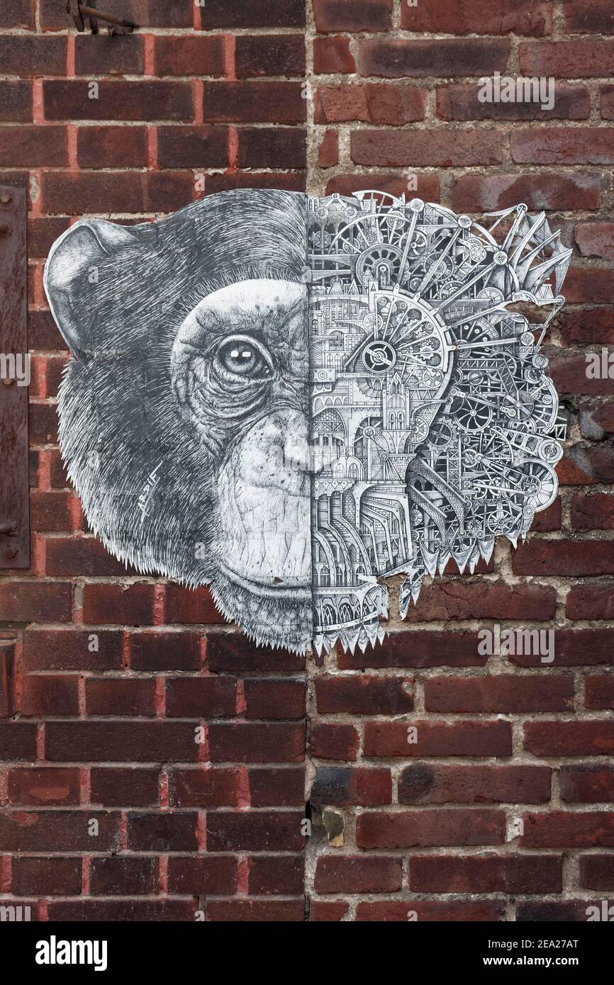 Paste up, chimpanzee, head half animal, half machine, symbol for balance of nature and technology, mechanimal by streetart artist Ardif, Duesseldorf Stock Photo